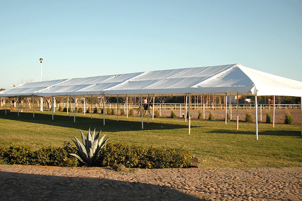 carpas-G01_600px_IPLAS