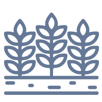 Mesa de trabajo 3
