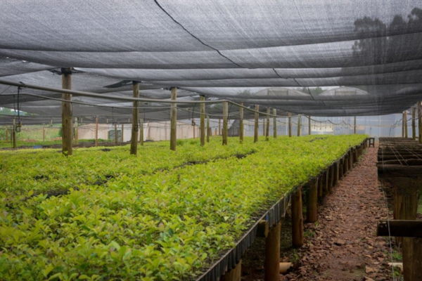 malla agricola