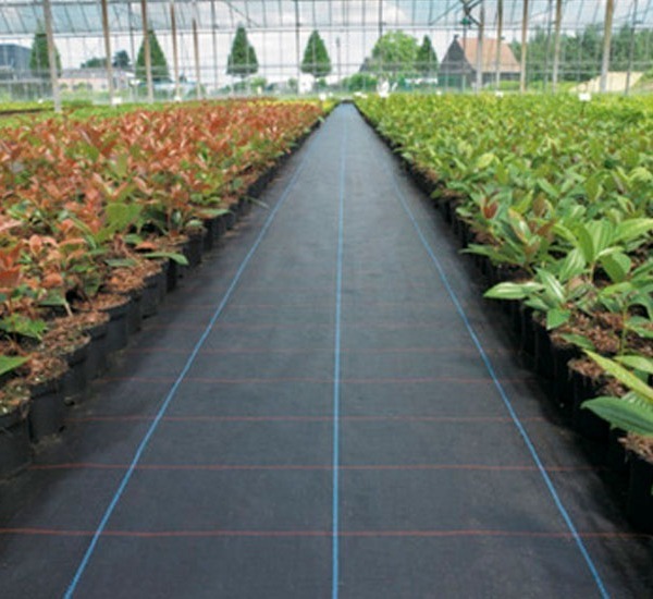 ground-cover-antimaleza_1